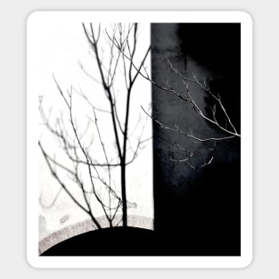 Tree on the Shadow Sticker